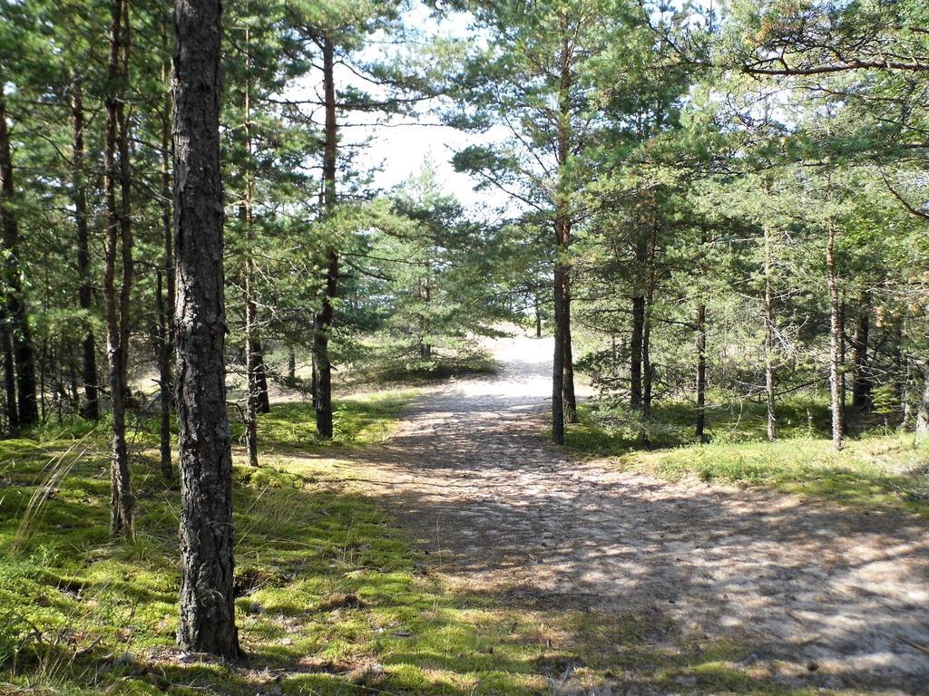 Elitasbb Lejlighed Carnikava Værelse billede